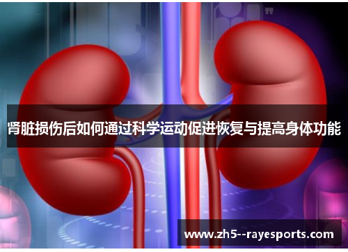 肾脏损伤后如何通过科学运动促进恢复与提高身体功能