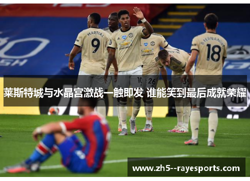 莱斯特城与水晶宫激战一触即发 谁能笑到最后成就荣耀 莱斯特城与水晶宫激战一触即发 谁能笑到最后成就荣耀